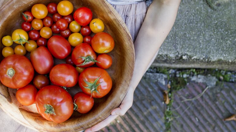 Auch Tomaten können Nesselsucht auslösen