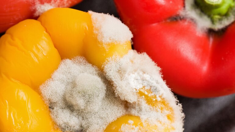 Verschimmelte Paprika