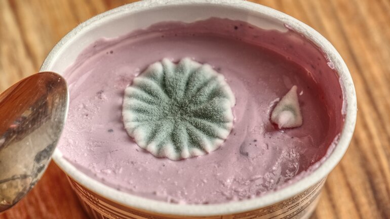 Schimmel in Joghurt
