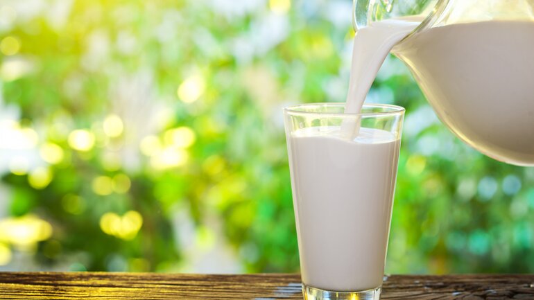 Milch und Milchprodukte bei Stress
