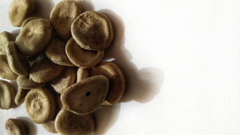 Nux vomica gegen Kopfschmerzen
