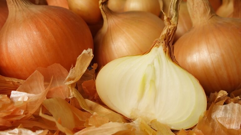 Allium cepa ist Mittel bei Erkältung