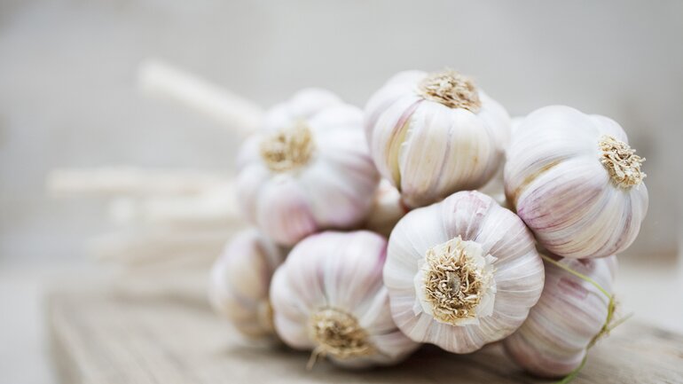 Knoblauch zählt zu den Antibiotika aus der Natur