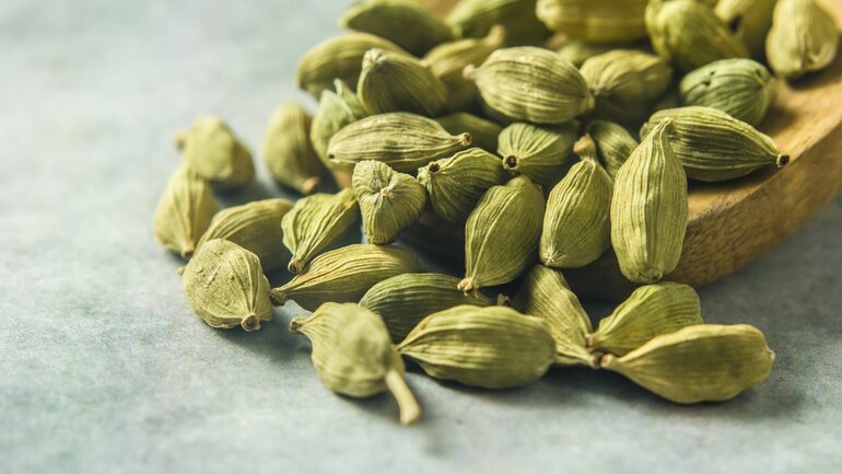 Elettaria cardamomum (Kardamom)
