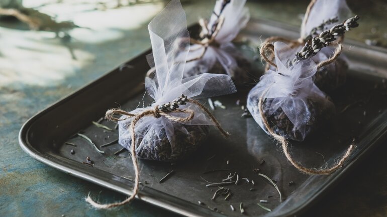 Lavendel gegen Schlafstörungen