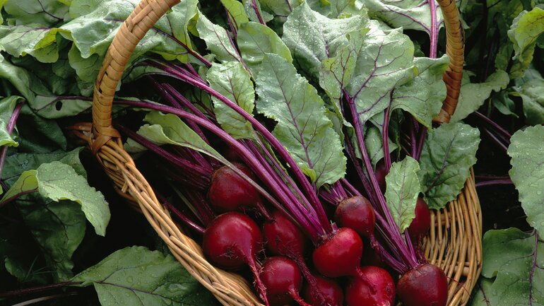 Lebensmittel mit Oxalsäure: Rote Bete