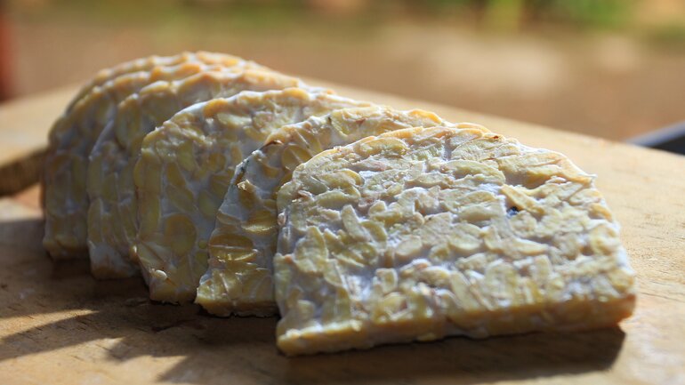 Probiotisches Lebensmittel Tempeh