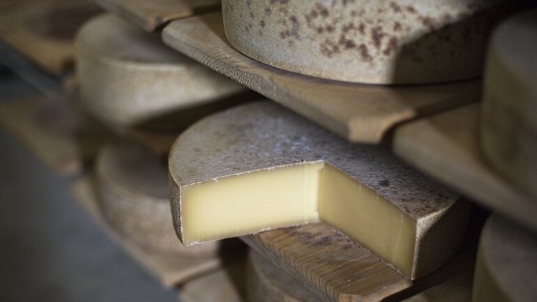 Käse: Natürliche Probiotika-Quelle