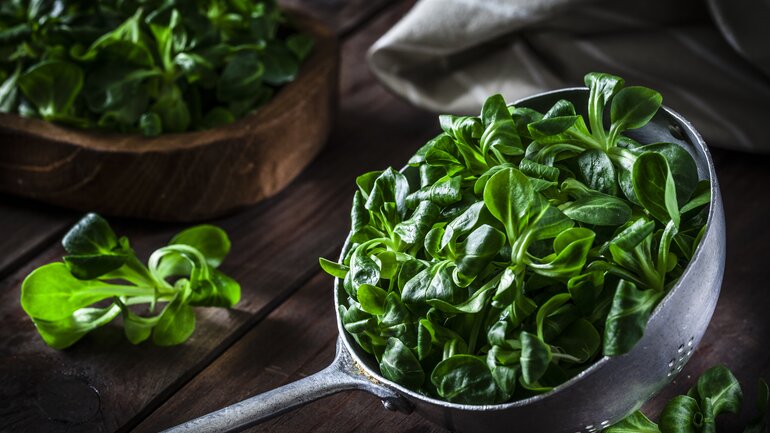 Feldsalat hat kaum Purine