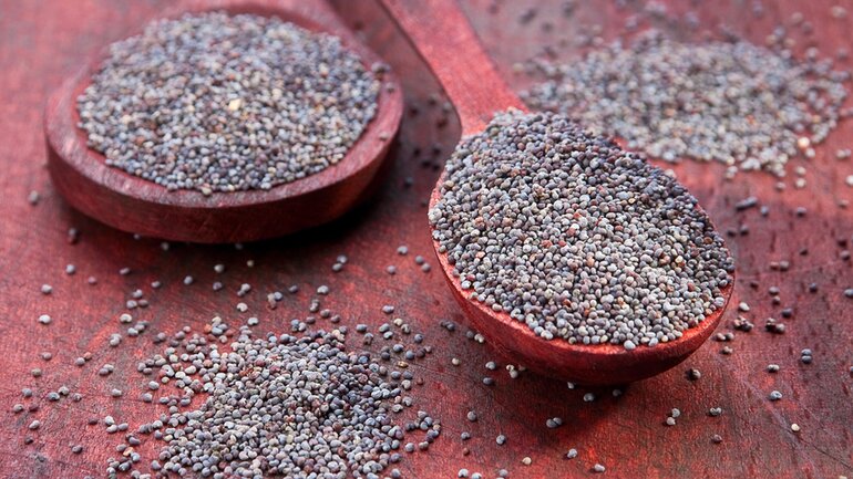 Mohnsamen liefert Purine