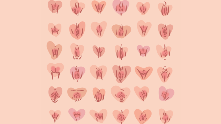 2. Jede Vulva ist einzigartig!