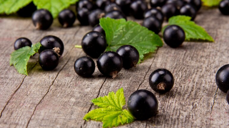 Platz 5: Vitamin C in schwarzen Johannisbeeren