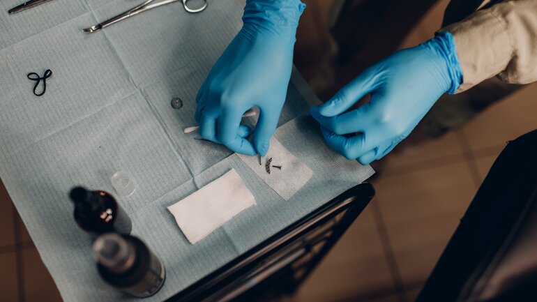 Piercer bereitet das Stechen vor