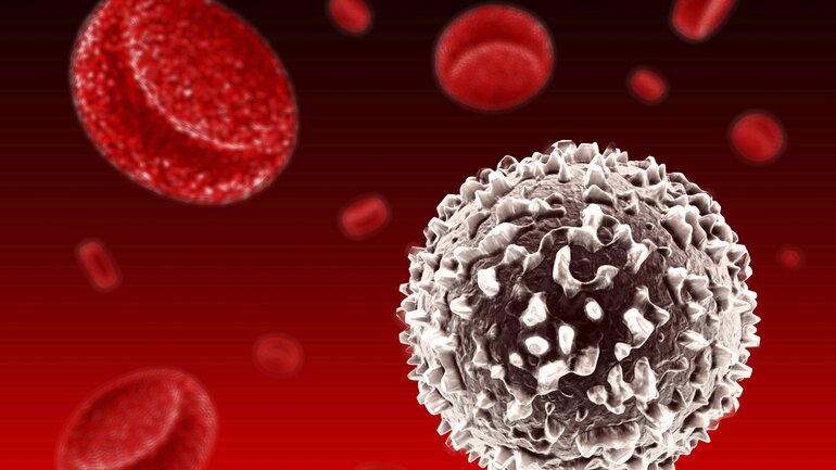 Ursachen für erniedrigte Leukozyten