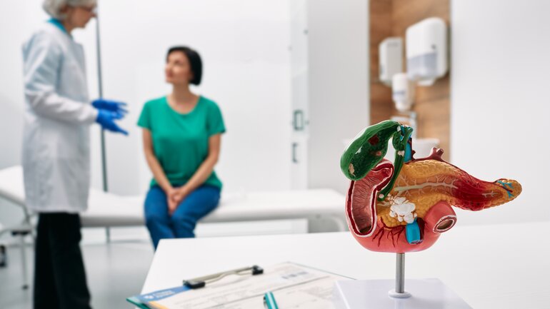 Patientin bei der Ärztin mit Modell der Bauchspeicheldrüse
