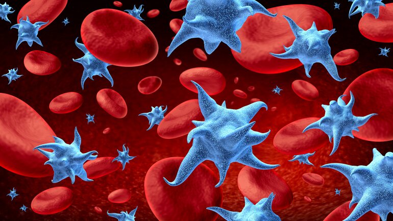 thrombozyten (thrombos)